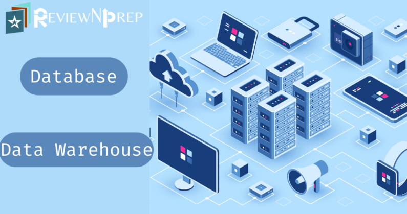 Database vs Data Warehouse – ReviewNPrep