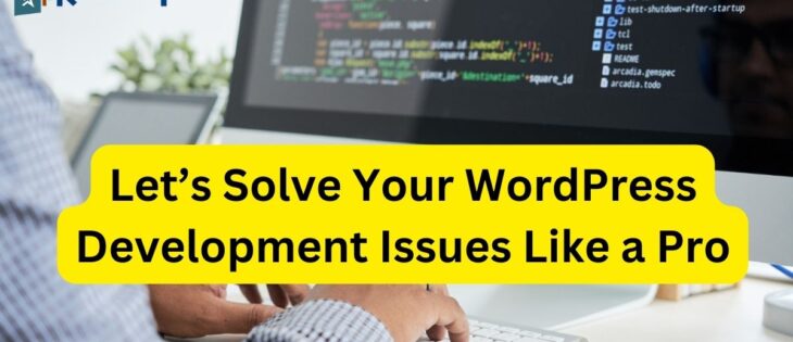 WordPress Development Issues