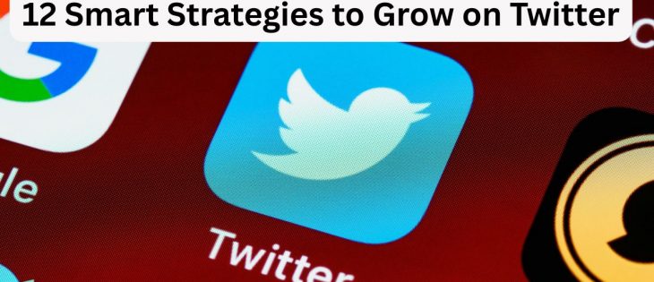 How to Get Twitter Followers_ 12 Strategies to Grow and Gain Real Influence