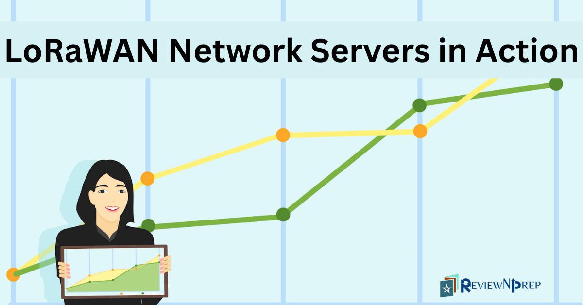 LoRaWAN Network Servers