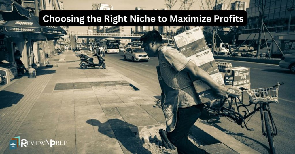Maximize profits in Dropshipping Business